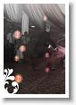 IMG_0104